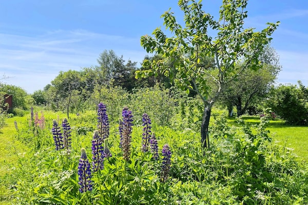 Foto van Charmant tuinhuisje in Levide - Vakantiehuis in HEMSE - Outdoor