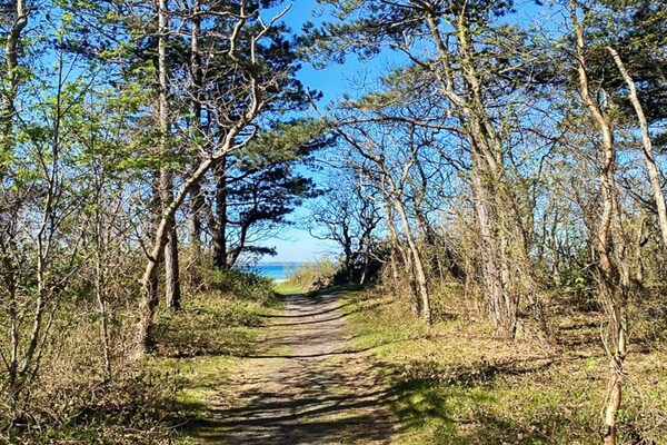 Foto van 7 Personen vakantie huis in Ebeltoft - Vakantiehuis in Ebeltoft - Outdoor