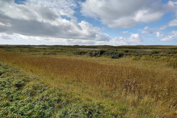 Foto van 4 sterren vakantie huis in Thyborøn - Vakantiehuis in Thyborøn - Untagged