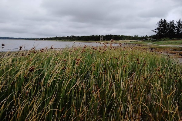 Foto van 6 persoons vakantie huis in Farsø-By Traum - Vakantiehuis in Farsø - WaterView