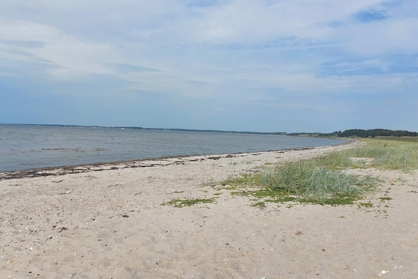 Foto van 6 persoons vakantie huis in Farsø-By Traum - Vakantiehuis in Farsø - WaterView