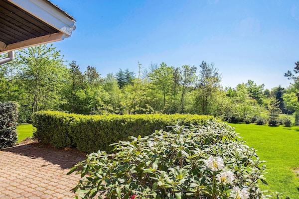 Foto van 6 persoons vakantie huis in Farsø-By Traum - Vakantiehuis in Farsø - Outdoor
