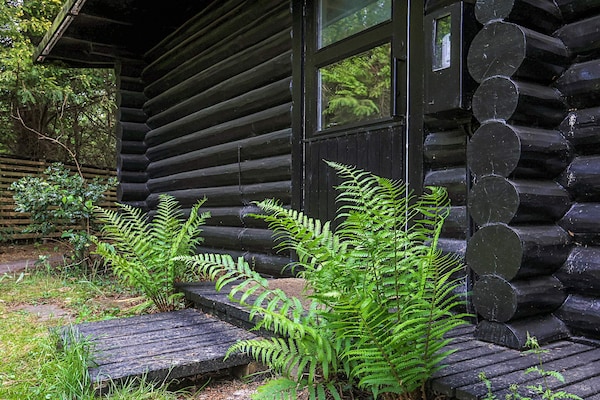 Foto van 6 Personen vakantie huis in Idestrup - Vakantiehuis in Idestrup - View