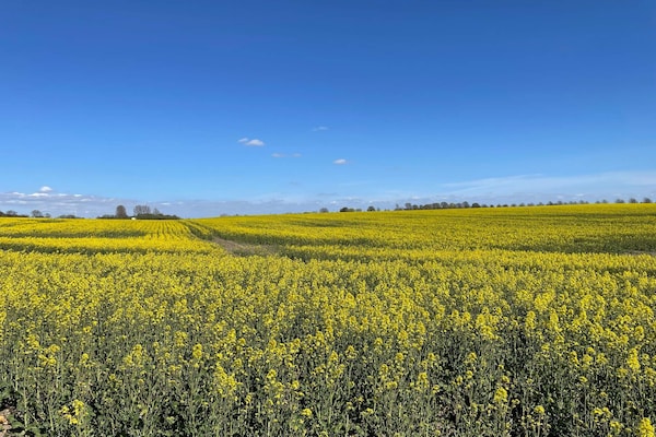 Foto van Rustig toevluchtsoord op het platteland met terras - Untagged