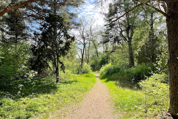 Foto van Gezellig zomerverblijf in Graddo - Vakantiehuis in Gräddö - Untagged