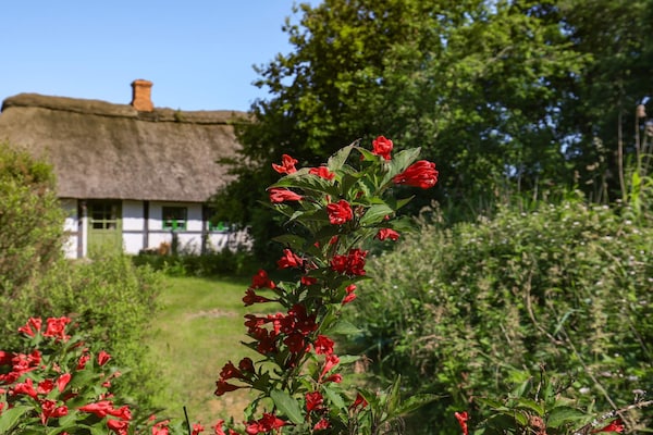 Foto van 6 Personen vakantie huis in Læsø - Vakantiehuis in Læsø - View
