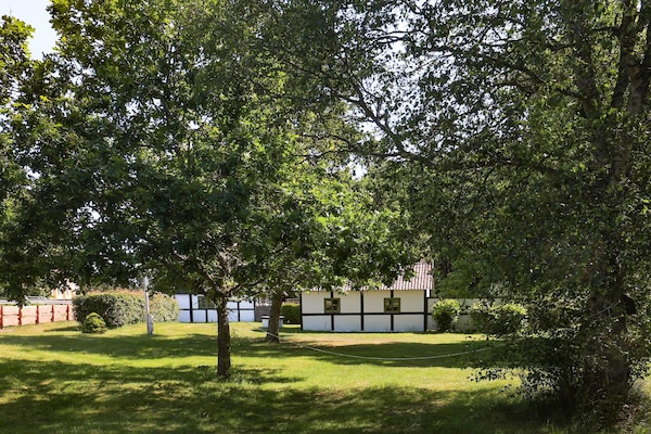 Foto van 6 Personen vakantie huis in Læsø - Vakantiehuis in Læsø - View