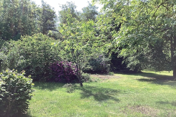 Foto van 6 Personen vakantie huis in Læsø - Vakantiehuis in Læsø - Outdoor