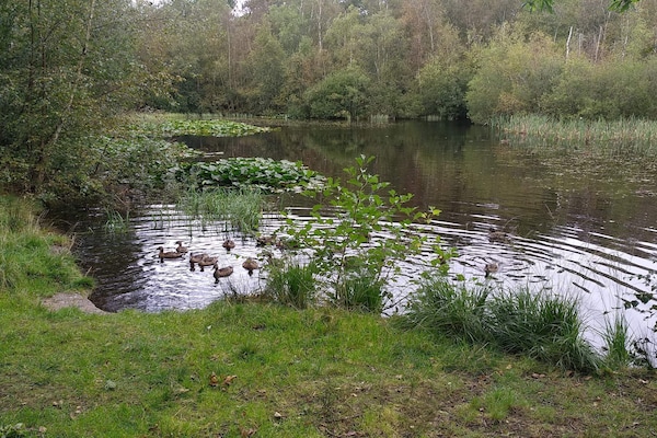 Foto van 4 sterren vakantie huis in Ålbæk - Vakantiehuis in Ålbæk - WaterView
