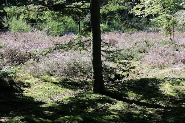 Foto van 4 sterren vakantie huis in Ålbæk - Vakantiehuis in Ålbæk - Untagged