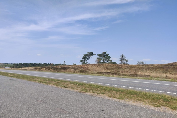 Foto van 5 sterren vakantie huis in Farsø - Vakantiehuis in Farsø - Untagged