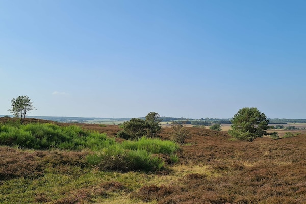 Foto van 5 sterren vakantie huis in Farsø - Vakantiehuis in Farsø - Untagged