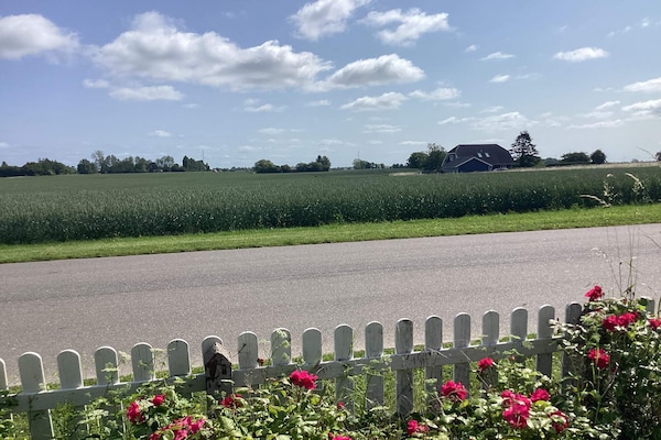 Foto van 6 Personen vakantie huis in Horslunde - Vakantiehuis in Horslunde - Outdoor
