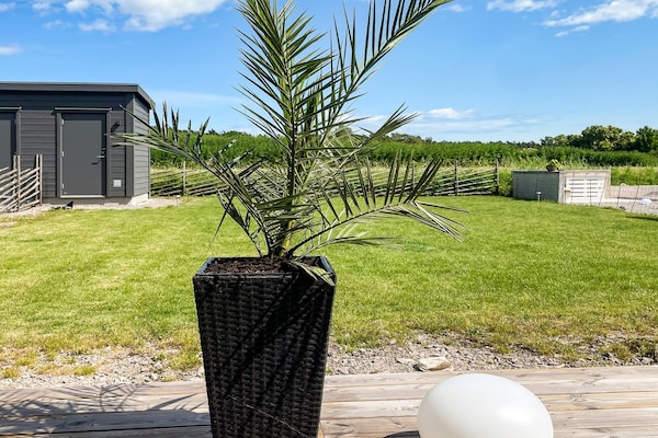 Foto van Vakantiehuis vlakbij het strand van Morbylanga - Vakantiehuis in MÖRBYLÅNGA - Outdoor