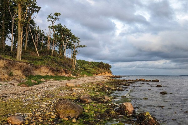 Foto van 4 sterren vakantie huis in Karrebæksminde - Vakantiehuis in Karrebæksminde - WaterView
