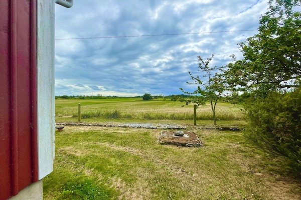 Foto van Comfortabel huis op het eiland bij Borgholm - Vakantiehuis in KÖPINGSVIK - Outdoor