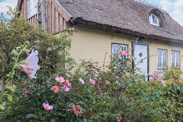 Foto van 4 sterren vakantie huis in Humlebæk - Vakantiehuis in Humlebæk - View