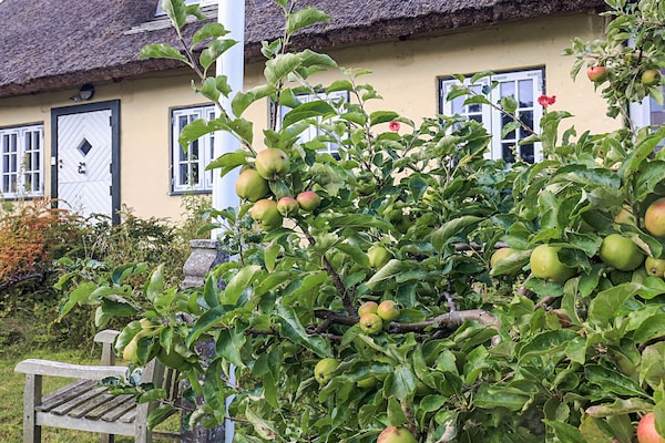 Foto van 4 sterren vakantie huis in Humlebæk - Vakantiehuis in Humlebæk - View