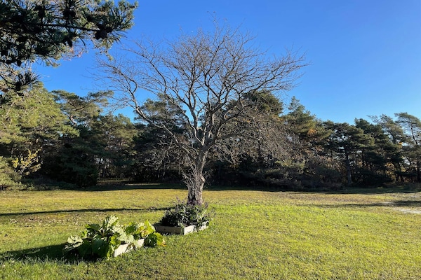 Foto van 4 sterren vakantie huis in VISBY - Vakantiehuis in VISBY - Outdoor