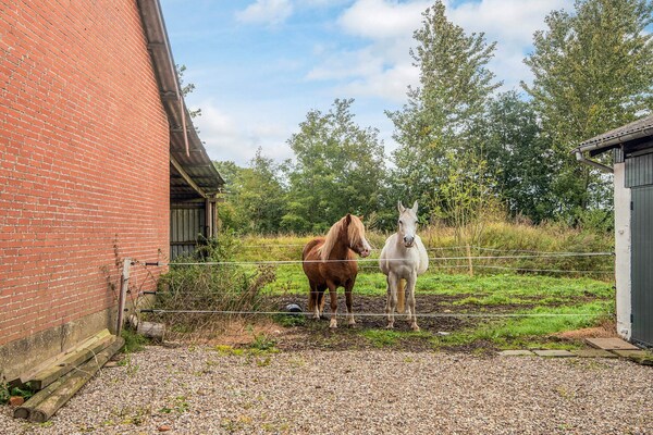 Foto van 6 Personen vakantie huis in Gram - Vakantiehuis in Gram - View