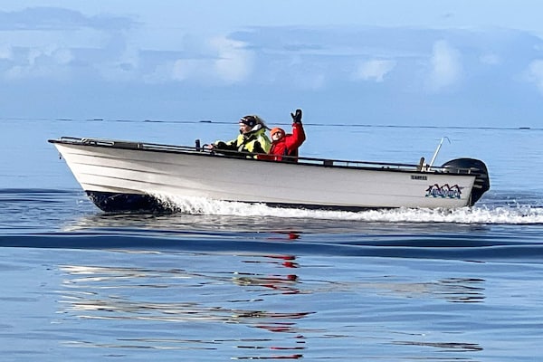 Foto van Zeezicht met boten en vissen - Vakantiehuis in Brekstad - Untagged