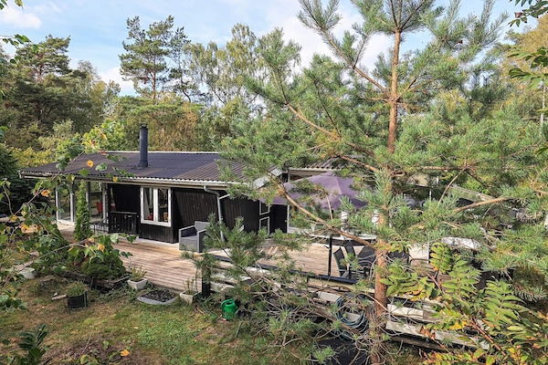Foto van 6 Personen vakantie huis in Stege - Vakantiehuis in Stege - Outdoor