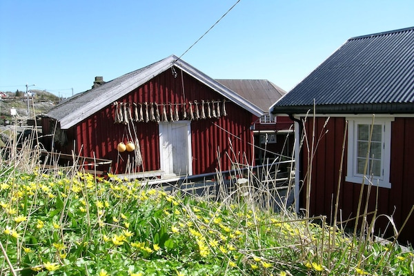 Foto van 8 Personen vakantie huis in Mølnarodden - Vakantiehuis in Mølnarodden - Untagged