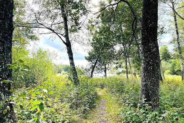 Foto van 4 sterren vakantie huis in TVÄRRED - Vakantiehuis in TVÄRRED - Untagged