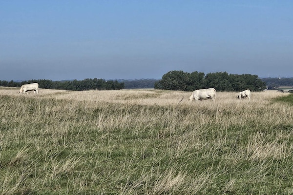 Foto van 5 sterren vakantie huis in YSTAD - Vakantiehuis in YSTAD - Untagged