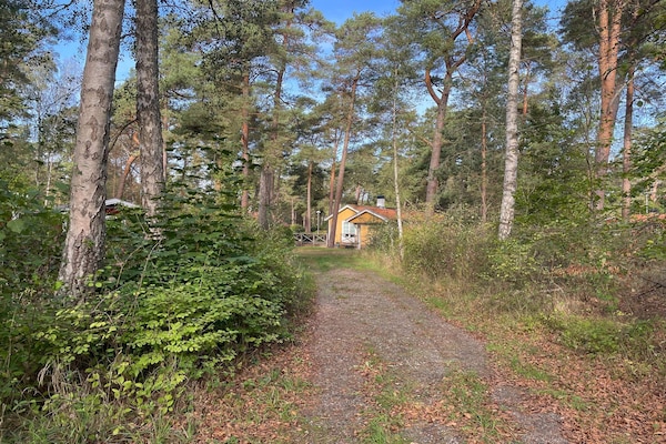 Foto van 5 sterren vakantie huis in YSTAD - Vakantiehuis in YSTAD - Outdoor