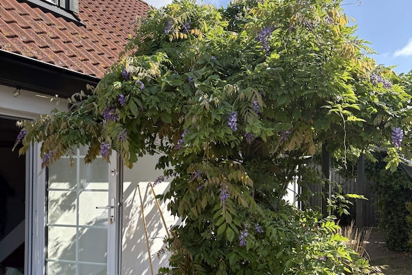 Foto van 5 sterren vakantie huis in Löderup - Vakantiehuis in Löderup - Outdoor