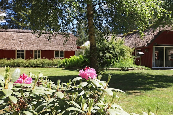 Foto van Gerenoveerd vakantiehuis met spa - Vakantiehuis in Blåvand - View