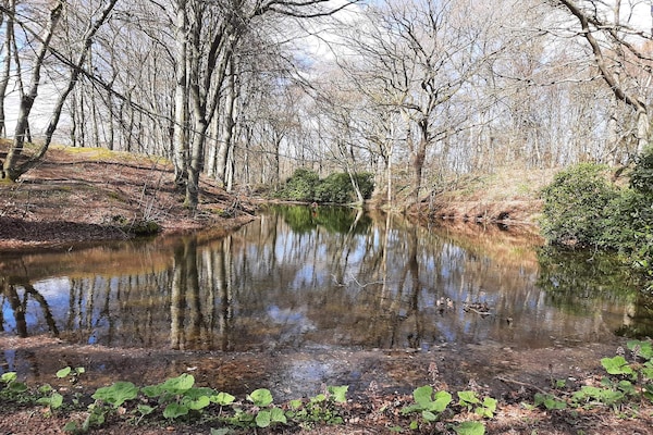 Foto van 6 persoons vakantie huis in Sæby-By Traum - Vakantiehuis in Sæby - WaterView