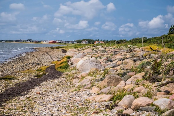 Foto van 12 persoons vakantie huis in Vestervig-By Traum - Vakantiehuis in Vestervig - WaterView