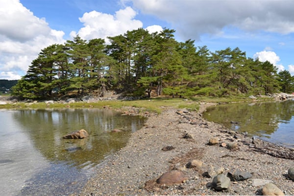 Foto van 4 sterren vakantie huis in UDDEVALLA - Vakantiehuis in UDDEVALLA - Outdoor