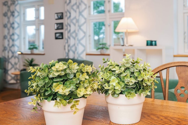 Foto van 14 Personen vakantie huis in Ribe - Vakantiehuis in Ribe - Indoor