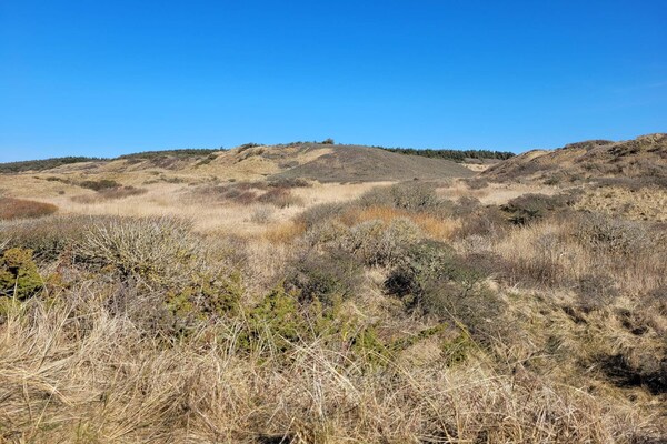 Foto van 6 persoons vakantie huis in Hirtshals-By Traum - Vakantiehuis in Hirtshals - Untagged