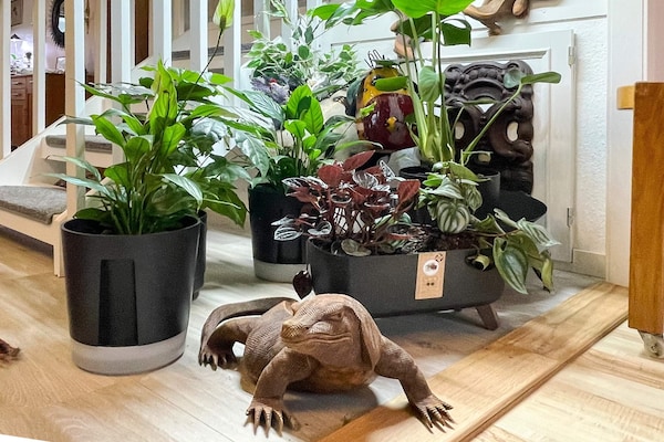Foto van 4 sterren vakantie huis in BERGKVARA - Vakantiehuis in BERGKVARA - Indoor
