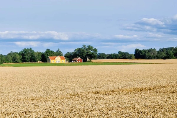 Foto van 4 sterren vakantie huis in ÖDESHÖG - Vakantiehuis in ÖDESHÖG - Outdoor