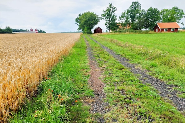 Foto van 4 sterren vakantie huis in ÖDESHÖG - Vakantiehuis in ÖDESHÖG - Outdoor