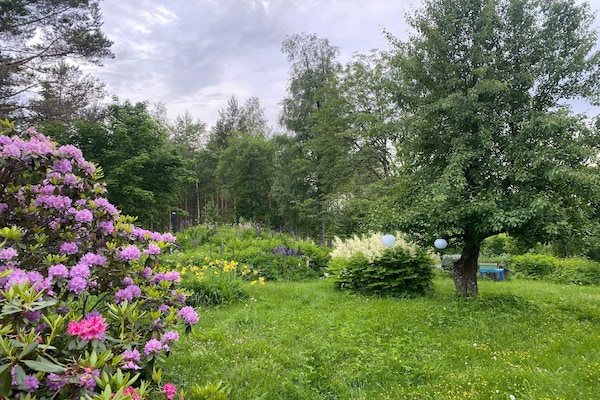 Foto van 4 sterren vakantie huis in GULDSMEDHYTTAN - Vakantiehuis in GULDSMEDHYTTAN - Outdoor