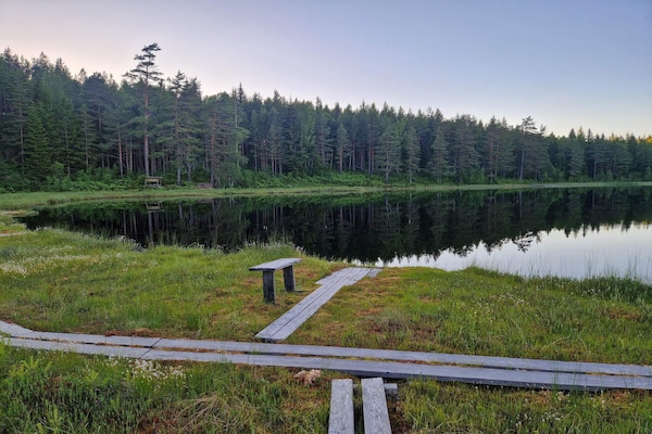 Foto van 4 sterren vakantie huis in GULDSMEDHYTTAN - Vakantiehuis in GULDSMEDHYTTAN - Outdoor