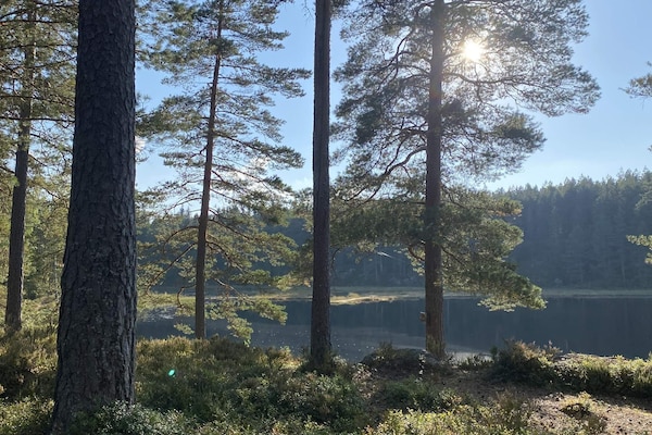 Foto van 4 sterren vakantie huis in GULDSMEDHYTTAN - Vakantiehuis in GULDSMEDHYTTAN - Outdoor