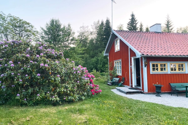Foto van 4 sterren vakantie huis in GULDSMEDHYTTAN - Vakantiehuis in GULDSMEDHYTTAN - Outdoor