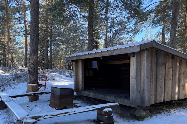 Foto van 4 sterren vakantie huis in GULDSMEDHYTTAN - Vakantiehuis in GULDSMEDHYTTAN - Outdoor