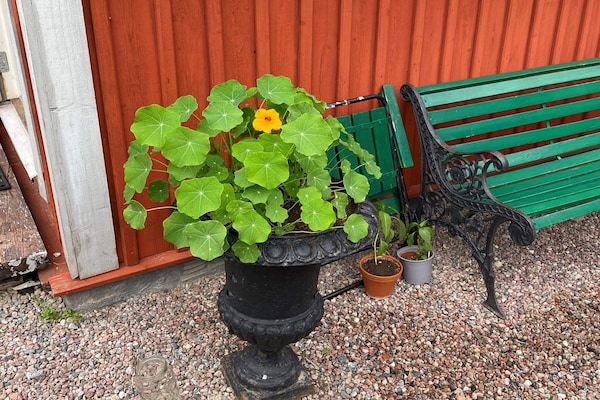 Foto van 4 sterren vakantie huis in GULDSMEDHYTTAN - Vakantiehuis in GULDSMEDHYTTAN - Outdoor