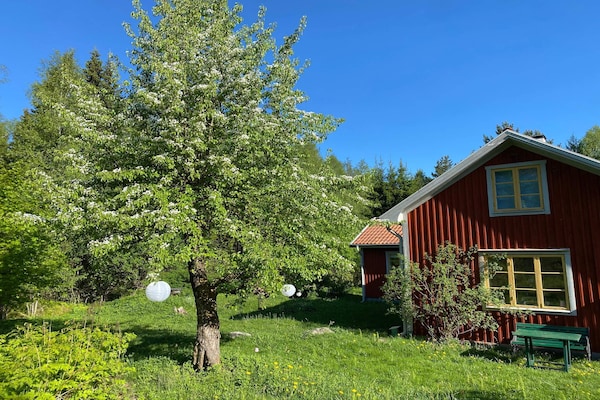 Foto van 4 sterren vakantie huis in GULDSMEDHYTTAN - Vakantiehuis in GULDSMEDHYTTAN - Outdoor