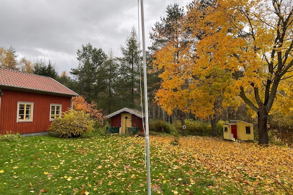 Foto van 4 sterren vakantie huis in GULDSMEDHYTTAN - Vakantiehuis in GULDSMEDHYTTAN - Outdoor