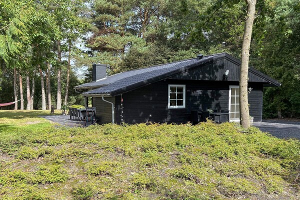 Foto van 4 sterren vakantie huis in Ansager - Vakantiehuis in Ansager - View