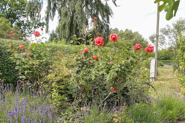 Foto van 6 Personen vakantie huis in Samsø - Vakantiehuis in Samsø - Outdoor